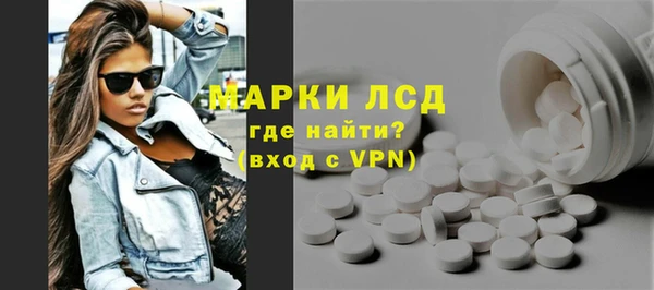 шишки Инта