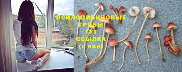 круглые Алзамай