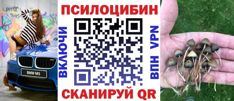 Галлюциногенные грибы MAGIC MUSHROOMS  Анжеро-Судженск 